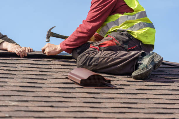Best Roof Waterproofing Services  in Trenton, FL