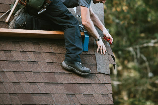Best Storm Damage Roof Repair  in Trenton, FL